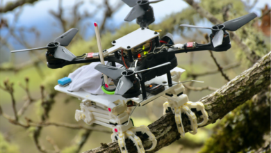 Dron s ptačími pařáty ze Stanfordské univerzity
