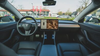 Možnost hraní videoher v jedoucích autech značky Tesla vzbuzuje obavy o bezpečnost
